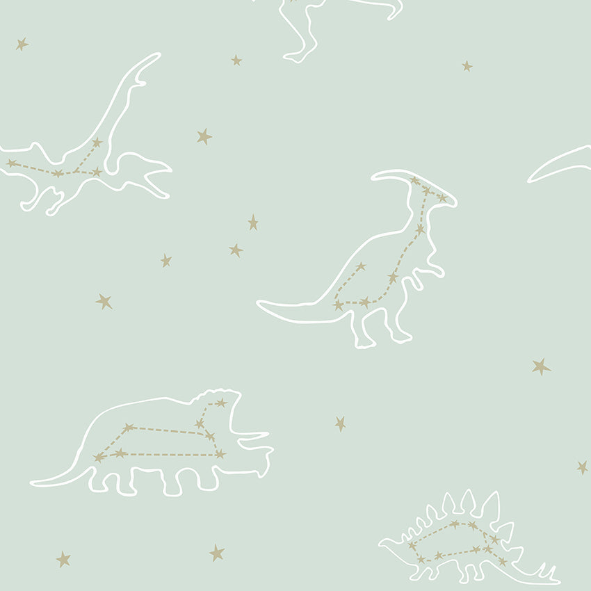 Dinosaur Constellations