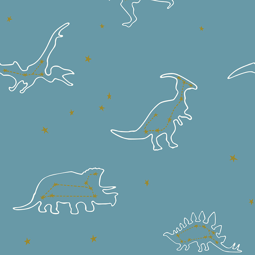 Dinosaur Constellations