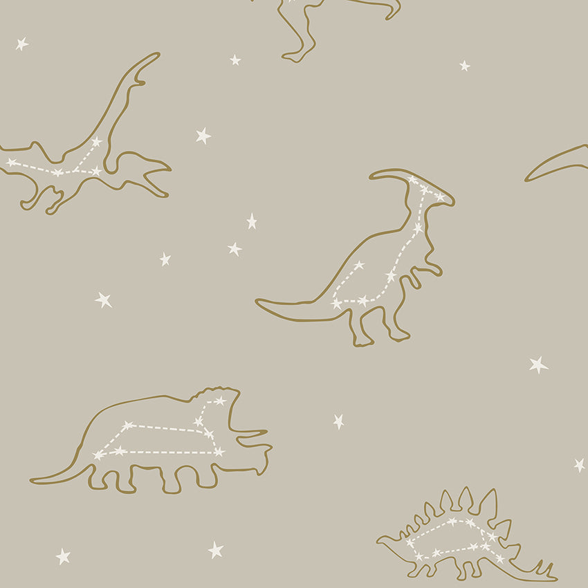 Dinosaur Constellations