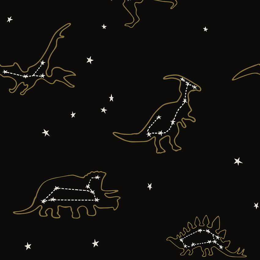 Dinosaur Constellations