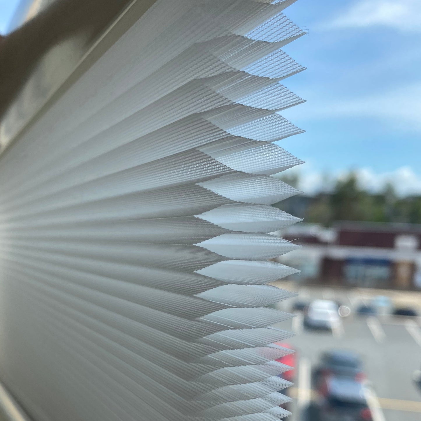 25mm Classic Day-night  Honeycomb/Cellular Shades