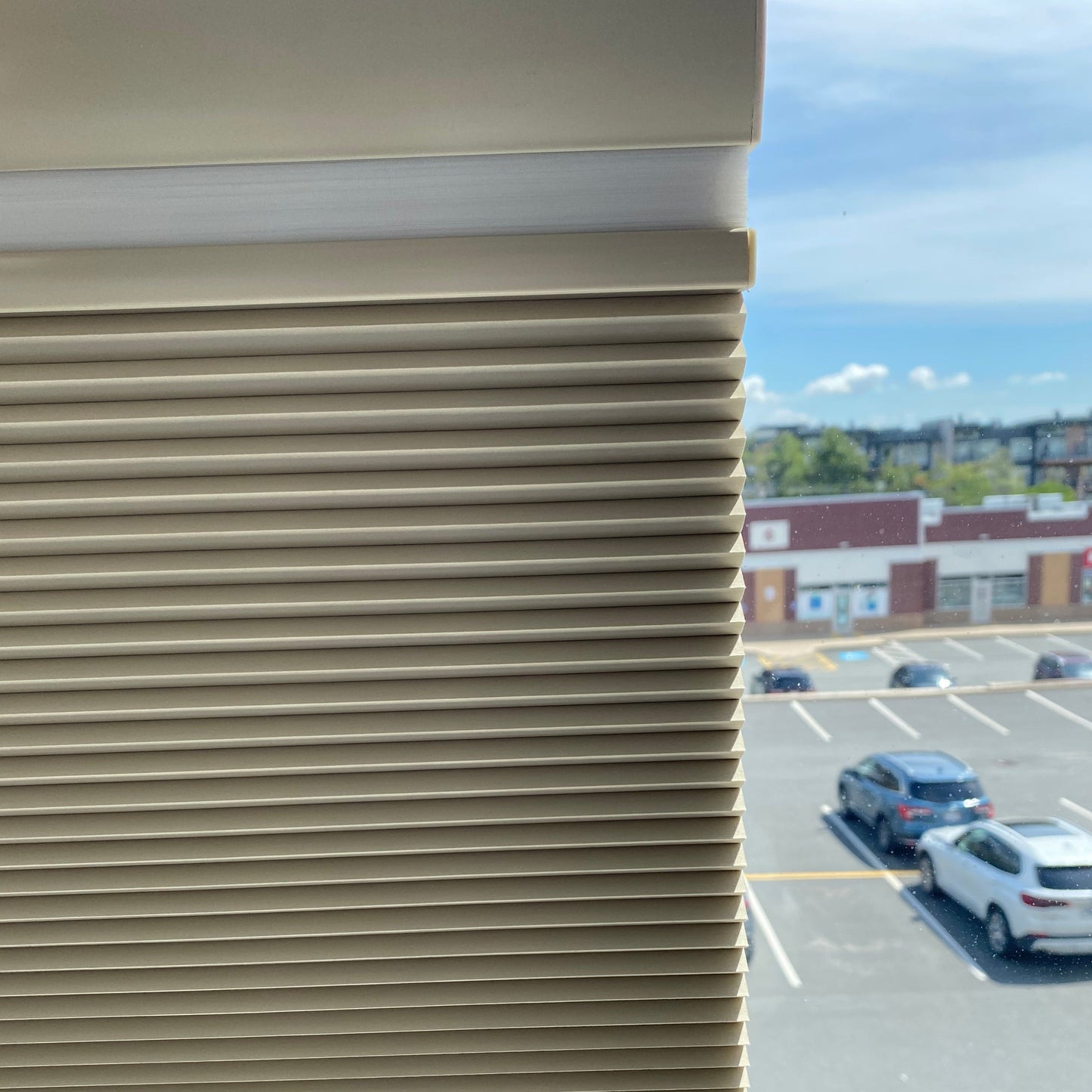 25mm Classic Day-night  Honeycomb/Cellular Shades