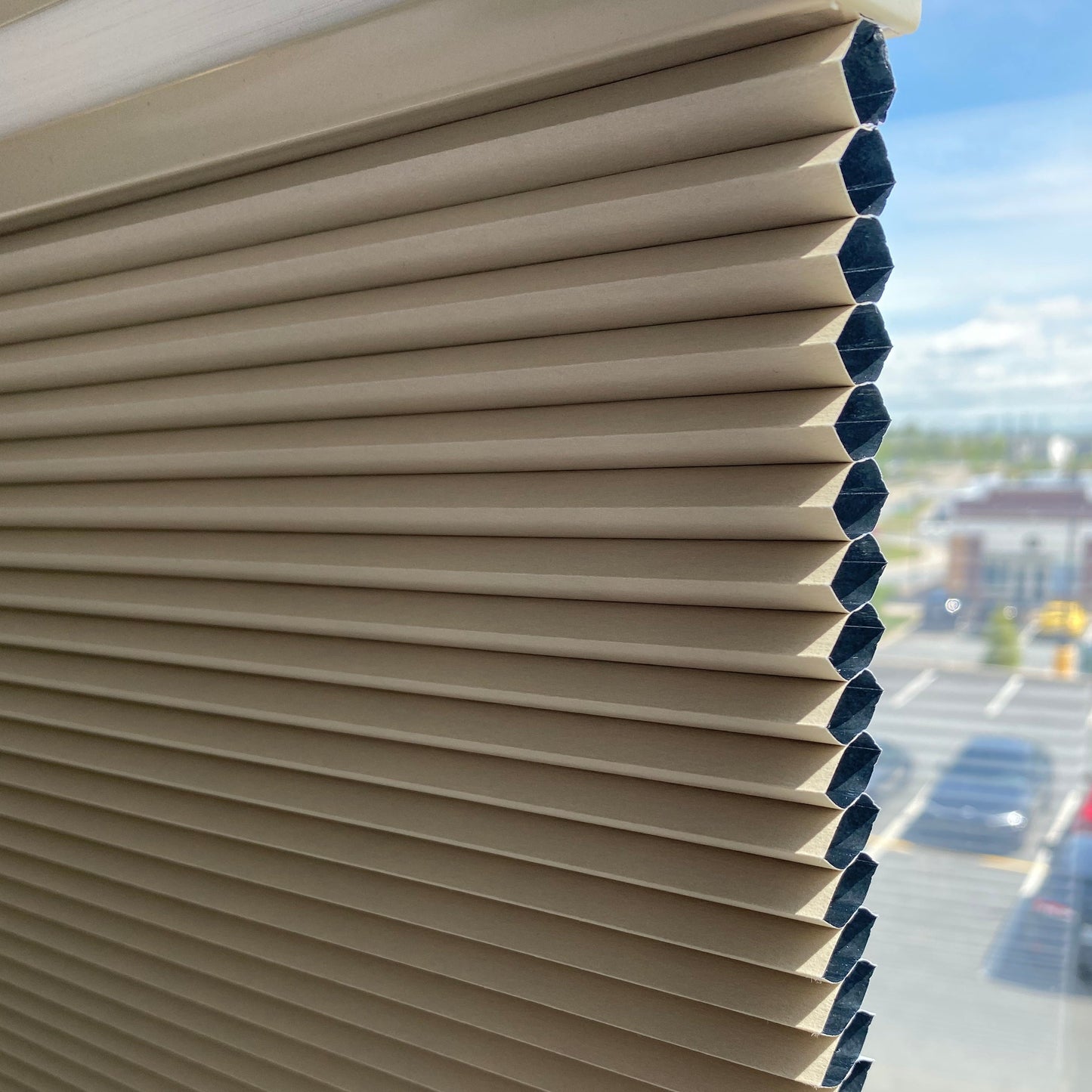 25mm Classic Day-night  Honeycomb/Cellular Shades