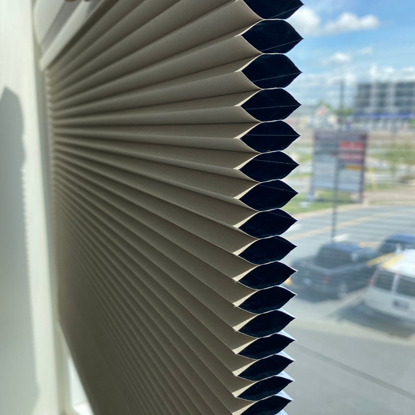 25mm Classic Day-night  Honeycomb/Cellular Shades