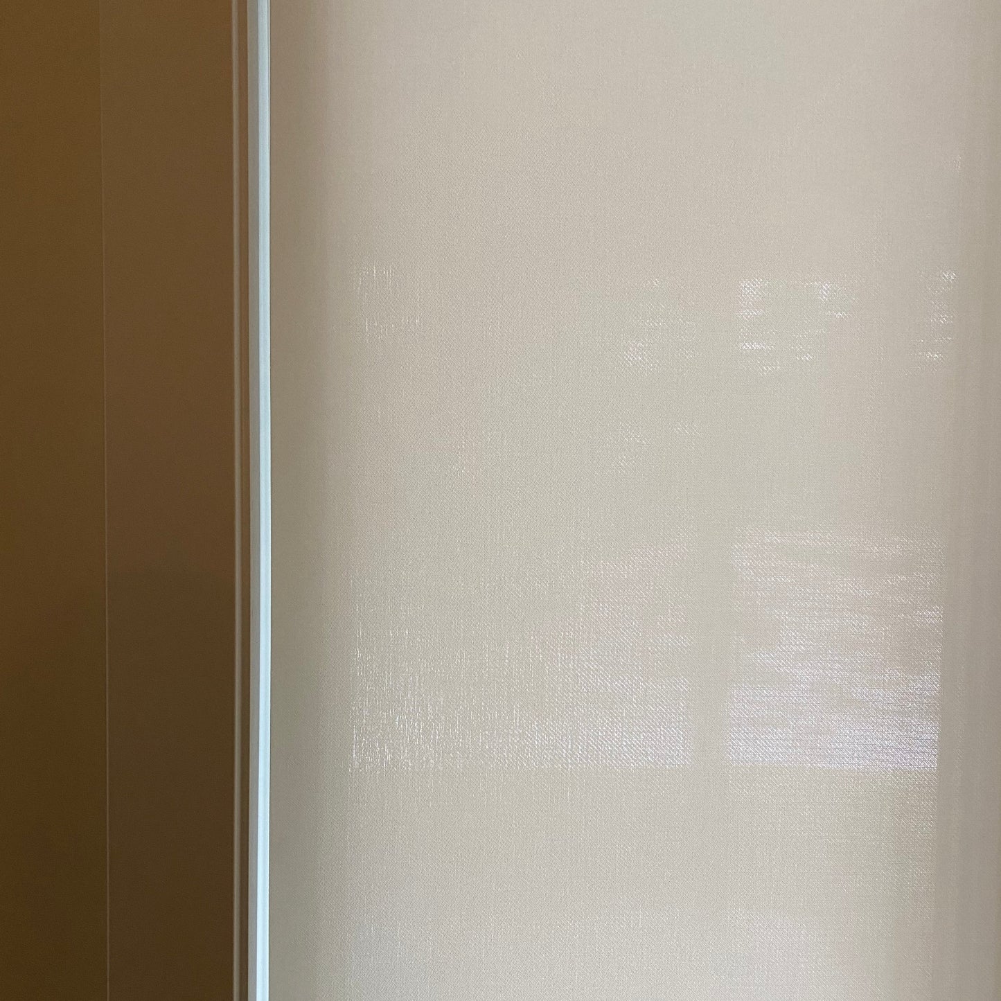 Value Sunscreen Light Filtering Roller Shades